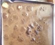 Desert prajitura cu ciocolata, bilute de cocos si crema de vanilie-7