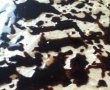 Desert prajitura cu ciocolata, bilute de cocos si crema de vanilie-10