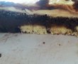 Desert prajitura cu ciocolata, bilute de cocos si crema de vanilie-11