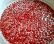 Sirop de coacaze rosii-2