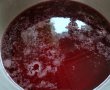 Sirop de coacaze rosii-3