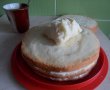 Desert tort cu crema de lamaie-4