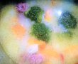 Ciorba de vitel cu broccoli si smantana-6