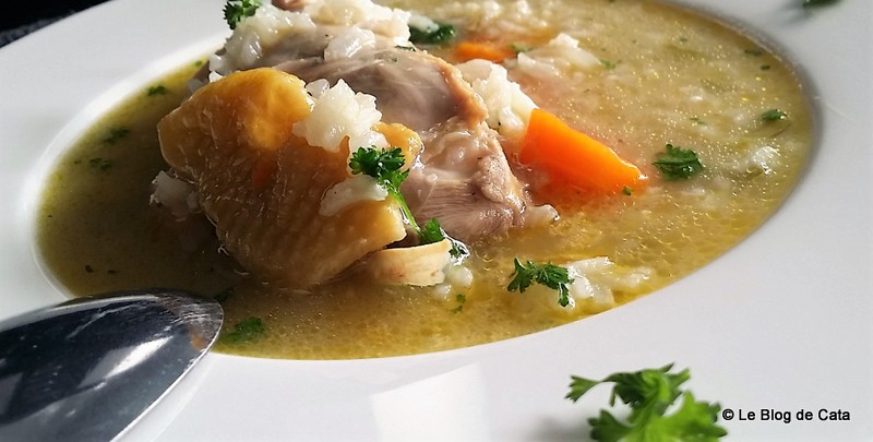 Supa de pui cu orez - Canja