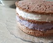 Desert tort cu crema de ciocolata, afine si zmeura - Reteta 800-20