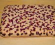Desert prajitura din albusuri si coacaze rosii-11