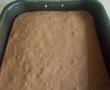 Desert prajitura cu crema de vanilie si blat cu cacao-6