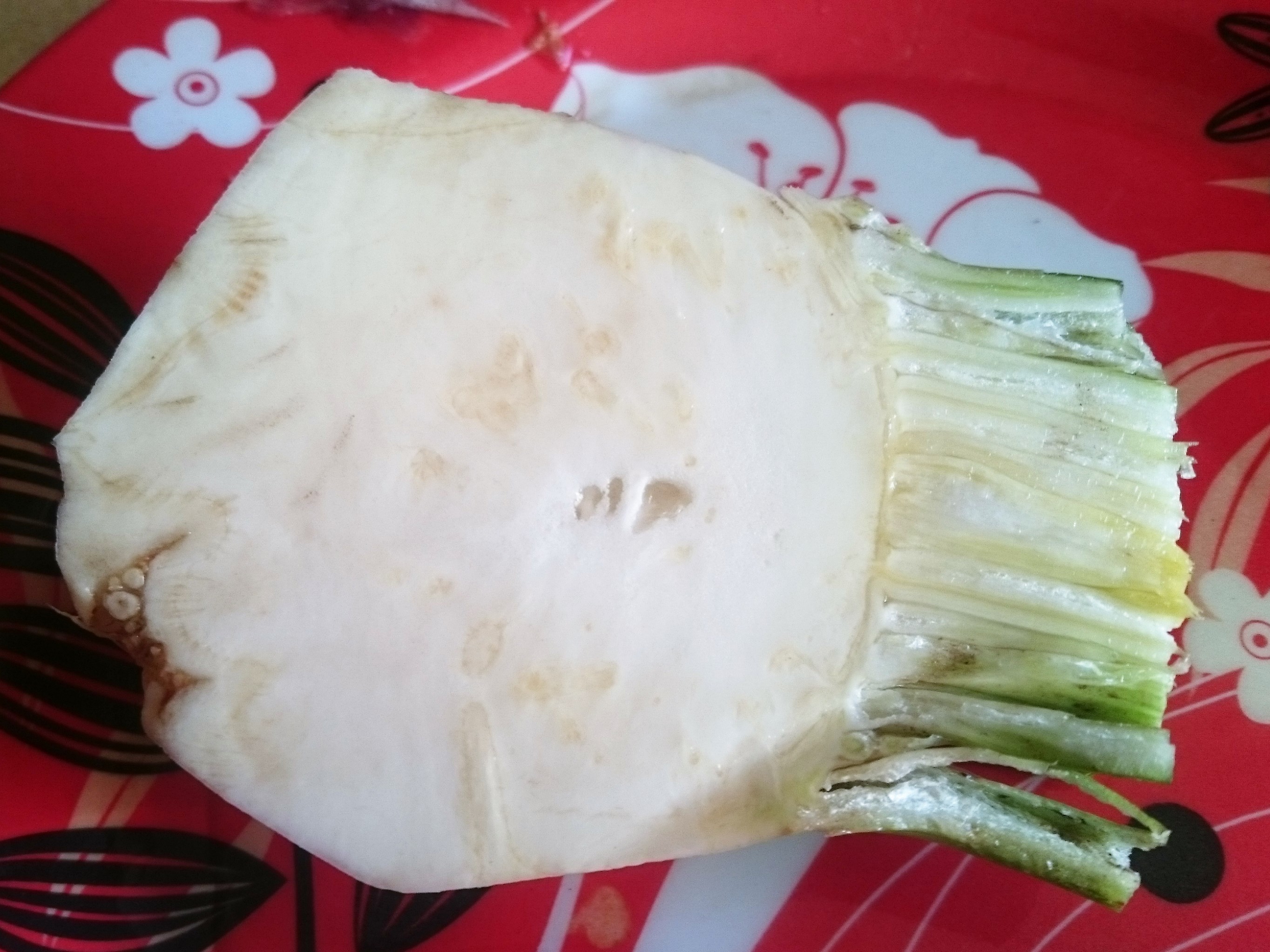 Ciorbita de vitel cu smantana si tarhon