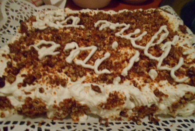 Desert tort egiptean