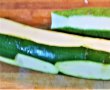 Salau cu zucchini-4