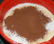 Desert tort musuroi de cartita-2