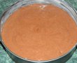 Desert tort musuroi de cartita-5
