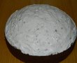 Desert tort musuroi de cartita-16