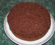 Desert tort musuroi de cartita-19
