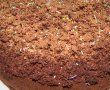 Desert tort musuroi de cartita-22