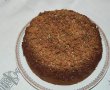 Desert tort musuroi de cartita-23