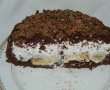 Desert tort musuroi de cartita-25