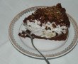 Desert tort musuroi de cartita-27