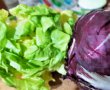 Salata cu somon afumat-1
