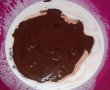 Desert tort cu crema de afine si ciocolata-2