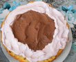 Desert tort cu crema de afine si ciocolata-3