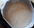 Desert tort Tanu-Motanu-0