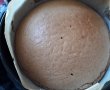 Desert tort Tanu-Motanu-1