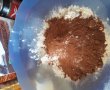 Desert prajitura cu nuca de cocos si crema de vanilie-1
