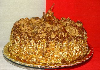 Desert tort M