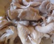 Salata de ciuperci pleurotus cu iaurt, usturoi si patrunjel-1