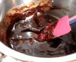 Desert tort Pralina-Ciocolata-14