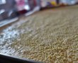 Desert prajitura cu mascarpone si jeleu de tapioca-6