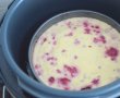 Cheesecake cu zmeura la Multicooker-ul Crock Pot express cu gatire sub presiune-3