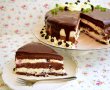 Desert tort cu crema de ciocolata alba si afine - 7 ani de bucataras-19