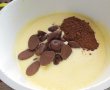 Desert inghetata de ciocolata-0