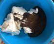 Tort cu ciocolata si crema de vanilie-2
