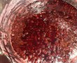 Dulceata de coacaze rosii-7