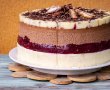 Desert tort V.51-28