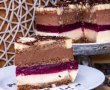 Desert tort V.51-29