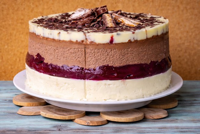 Desert tort V.51