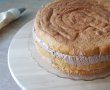Desert tort cu crema bavareza de ciocolata si fructe de padure-13