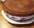 Desert tort cu ciocolata si crema de vanilie-4