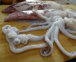 Rondele de calamar-1