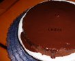 Desert tort de ciocolata-6
