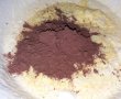 Desert negresa pufoasa cu nuca si ciocolata-1