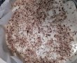 Desert cheesecake cu merisoare si alune-5