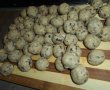 Chiftelute de ciuperci de padure-4