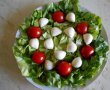 Salata cu mini mozzarella si rosii cherry-5