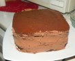 Desert tort ciocolatos-5