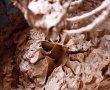 Desert prajitura cu ciocolata-12